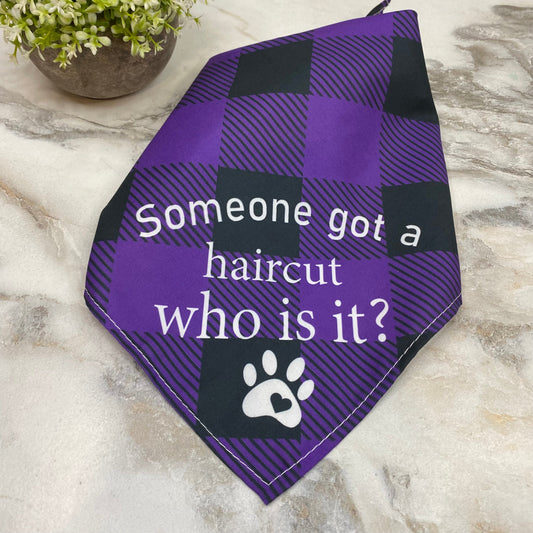 Dog Bandana - Sayings - Haircut